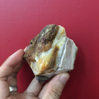 Gỗ hoá ngọc tự nhiên