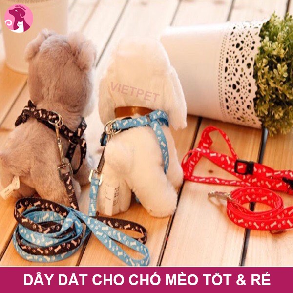 DÂY DẮT ĐAI NGỰA CHO CHÓ, MÈO