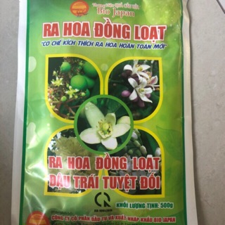 Ra hoa đồng loạt