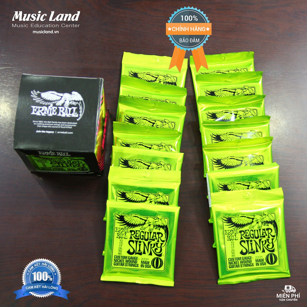 Dây Đàn Guitar Điện Ernie Ball 2221 – Cỡ dây chuẩn 10/46