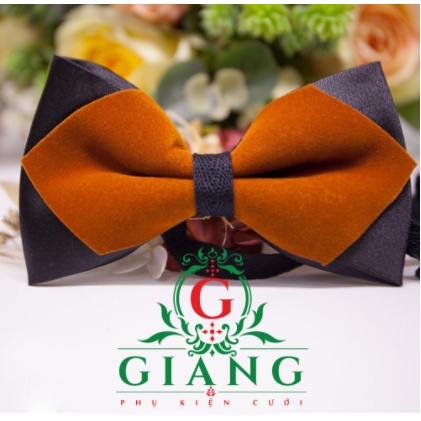 Nơ cổ nam dáng nhọn sang trọng nhung màu nâu