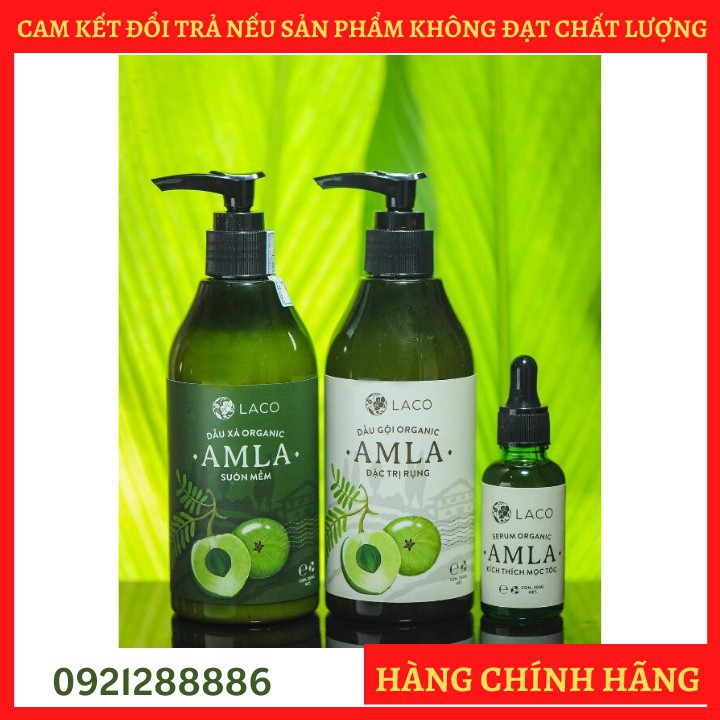 Combo dầu gội, xả và serum kích thích mọc tóc ORGANIC AMLA LACO, ngăn ngừa rụng tóc, giúp toc suôn mượt