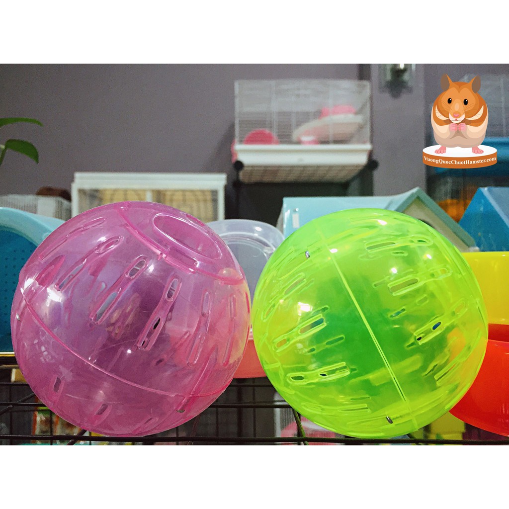 Banh chạy cho Hamster ( nhỏ )