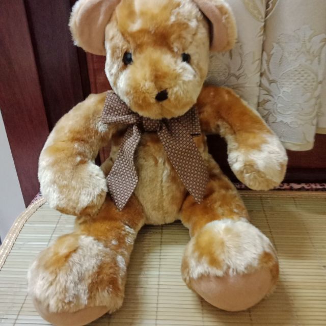 Gấu của vy