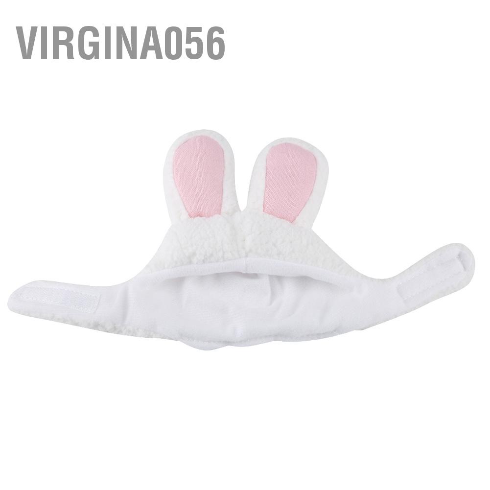 Có thể bán buôn Mũ tai thỏ chuyên nghiệp Dễ thương Trang phục thú cưng Cosplay Cat Cap Accessaries Virgina056 Hàng giao ngay