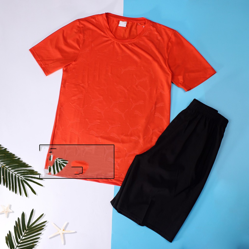 Bộ Quần Áo Thể Thao Mùa Hè Cộc Tay Vân Báo Mềm Mại PM11 | BigBuy360 - bigbuy360.vn