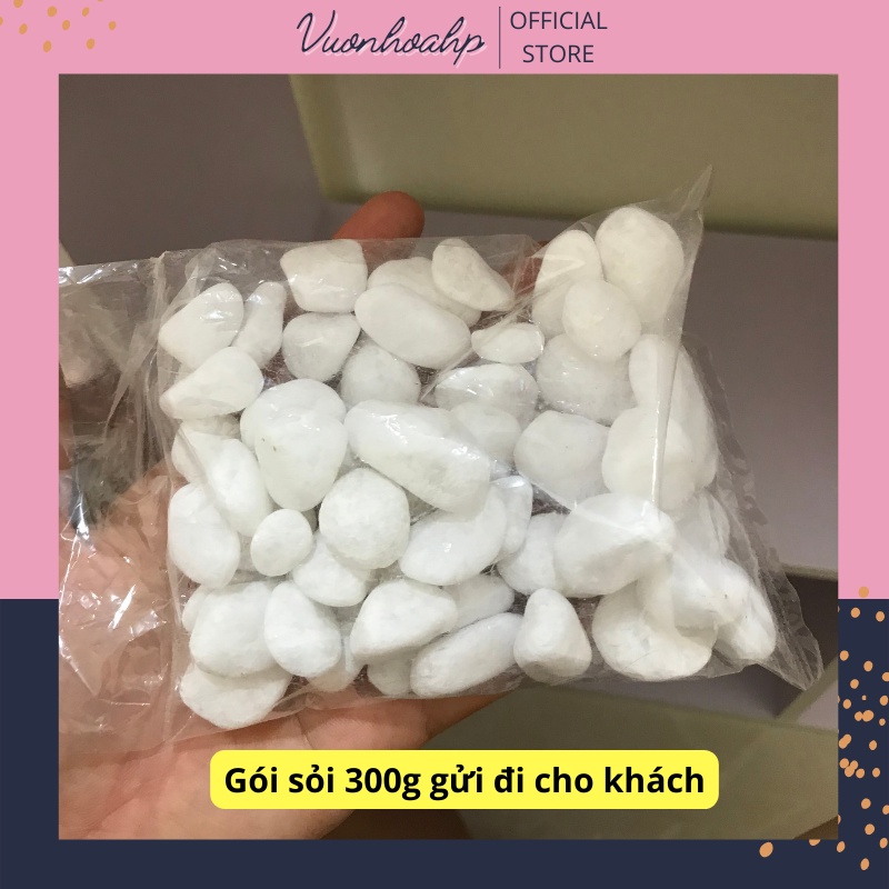 Sỏi trắng trang trí châụ cảnh 300g, sỏi trang trí bể cá, sỏi trắng