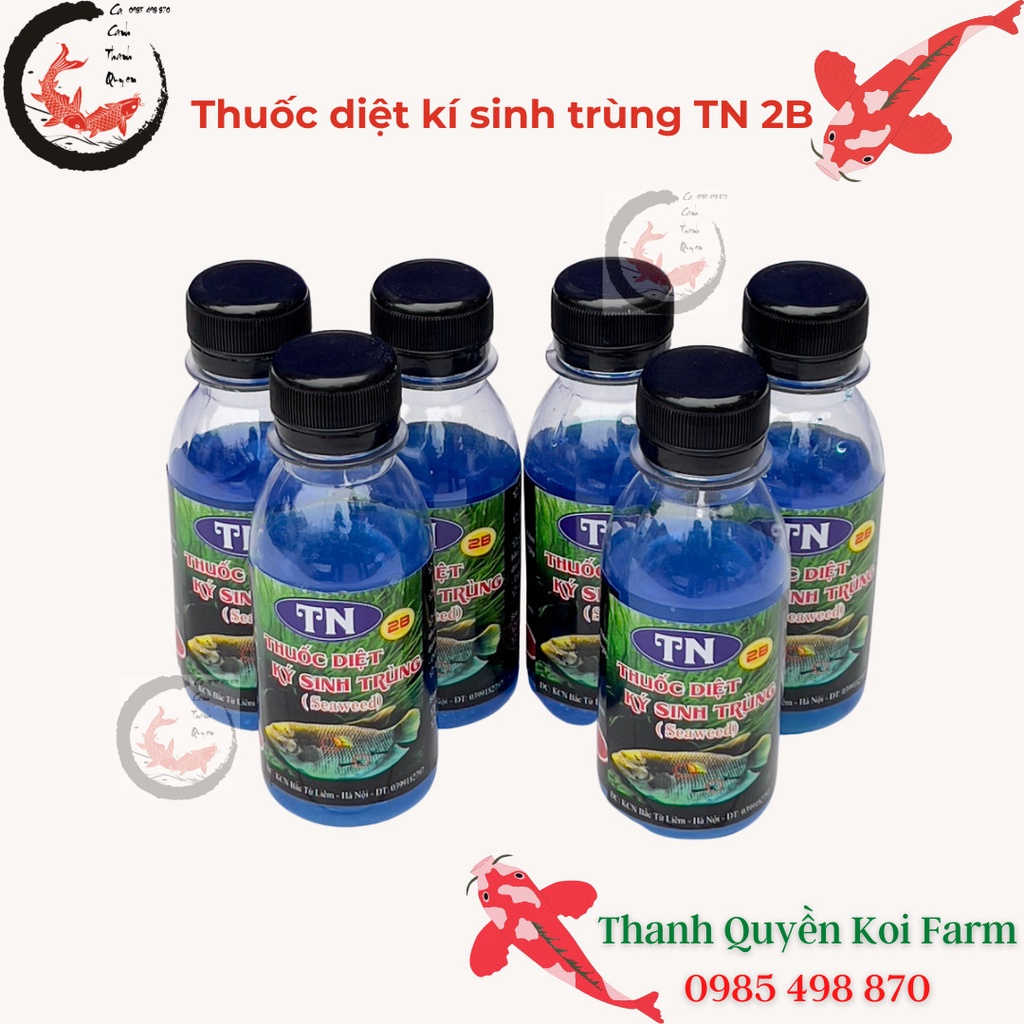 Thuốc diệt kí sinh trùng cho cá Koi, cá cảnh TN 2B chai lớn 100ml