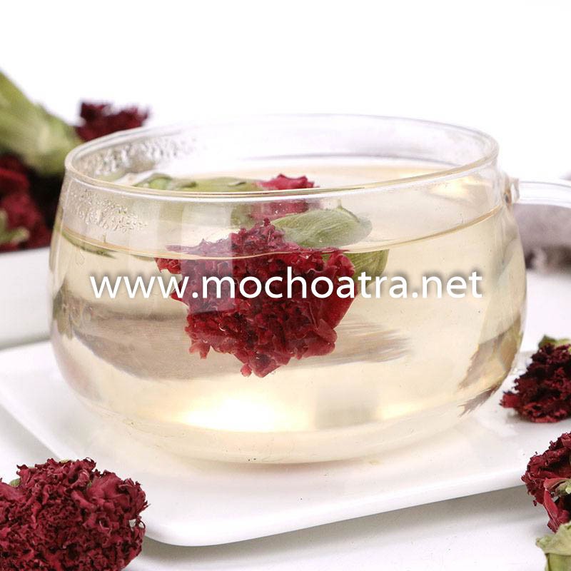 Trà thảo mộc Mộc hoa Trà - Trà Hoa cẩm chướng (100gr)