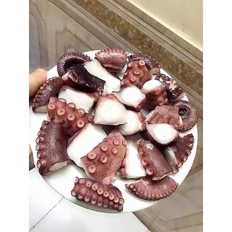 Râu Tuộc khổng lồ 1kg
