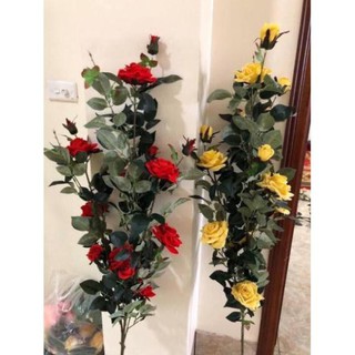 Hoa giả- Cây hồng cổ cao ~1m (Hà Nội ship trong ngày)
