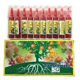 Kích thích ra rễ Giâm chiết cành dùng cho hoa hồng - 1 vỉ 10 ống