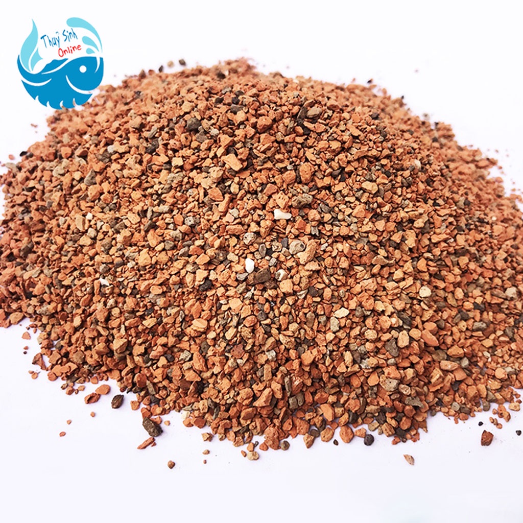 Sạn Gốm Ceramic trải nền hồ thủy sinh, hồ cá