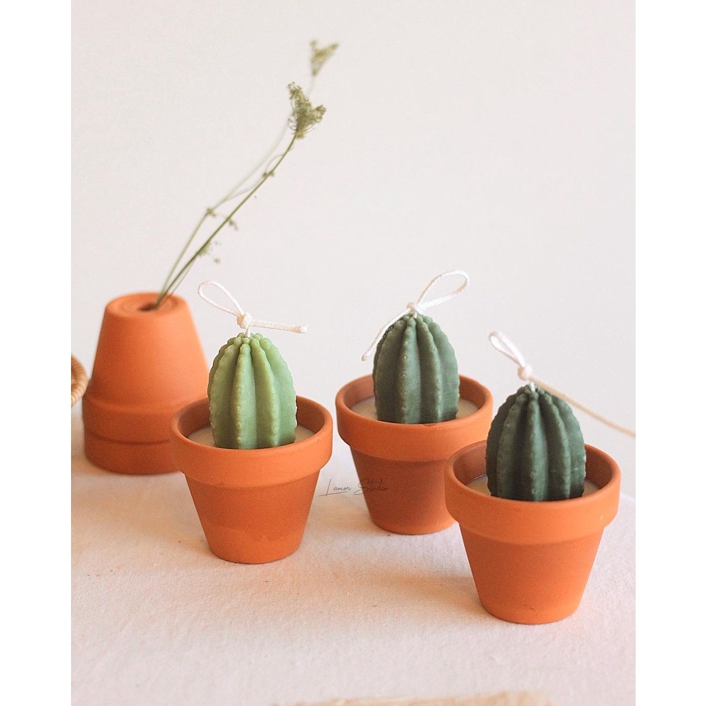 Combo tự làm nến thơm Cactus Candle sáp tự nhiên giảm căng thẳng