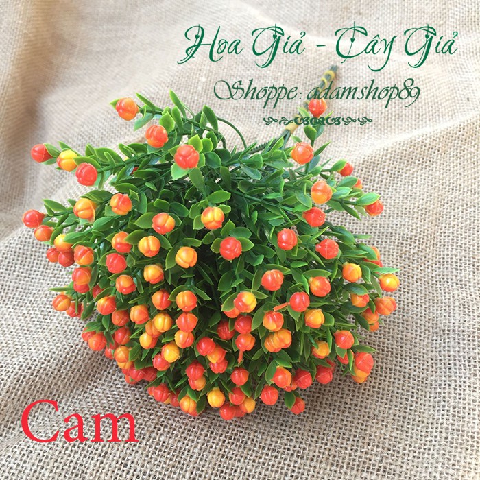 Hoa giả - Hoa Chiêm Điểm