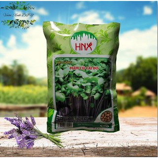 Combo 6 loại rau mầm