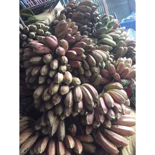 1kg chuối hột bóc vỏ phơi khô  Tây Bắc