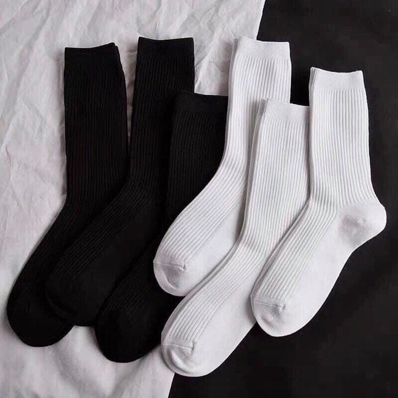 Tất Dài Vớ Nam Nữ Trơn Trắng Đen Basic Cotton 100%