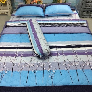 Trọn bộ drap mền cotton polly