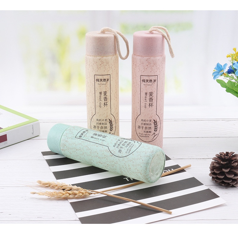 Bình đựng nước lõi thủy tinh, vỏ nhựa, mẫu mã độc đáo giữ nóng lạnh 6 đến 8 tiếng