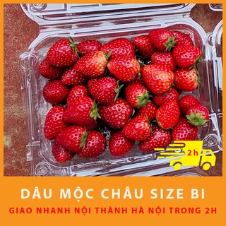 Dâu Tây Mộc Châu dâu bi