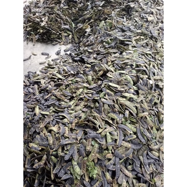 Bồ kết khô giá siêu rẻ 1kg