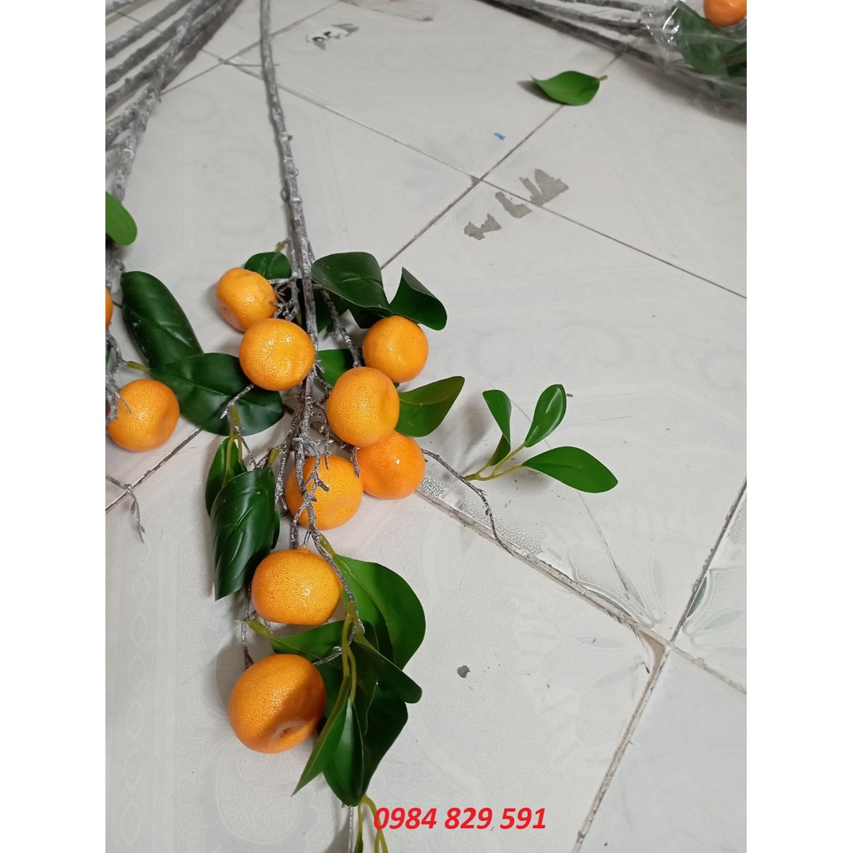 Cành Quýt vàng trĩu quả cao cấp