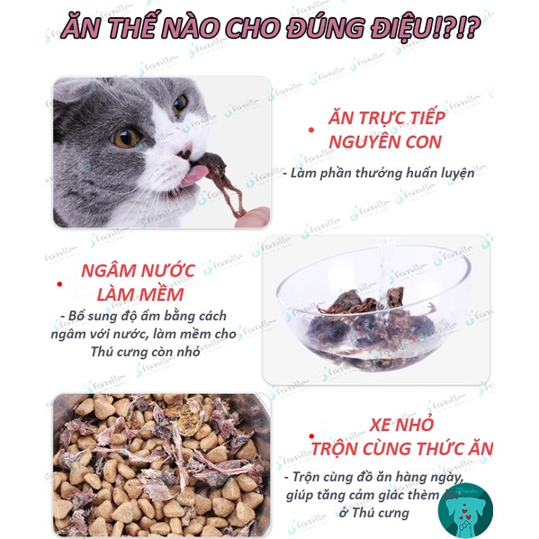 [VỖ BÉO]Treat Thưởng Thú Cưng JFamille, Chim Cút Treo Gió, Giàu Dinh Dưỡng, Bổ Sung Protein-Vitamin-Khoáng Chất.  JF130