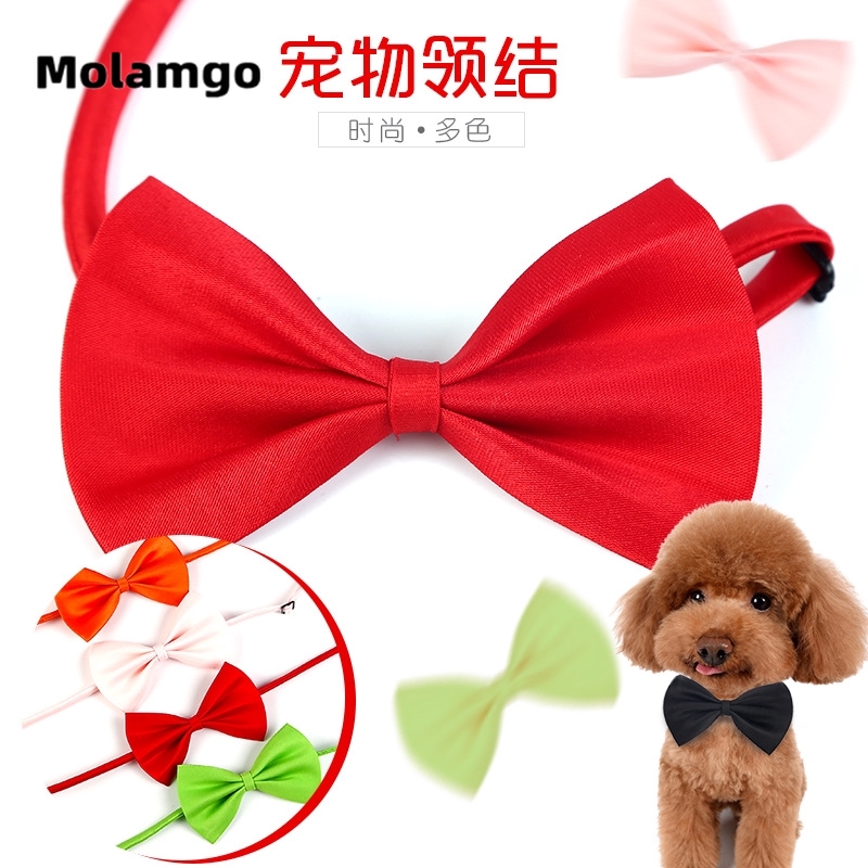 Nơ đeo cổ đáng yêu cho thú cưng