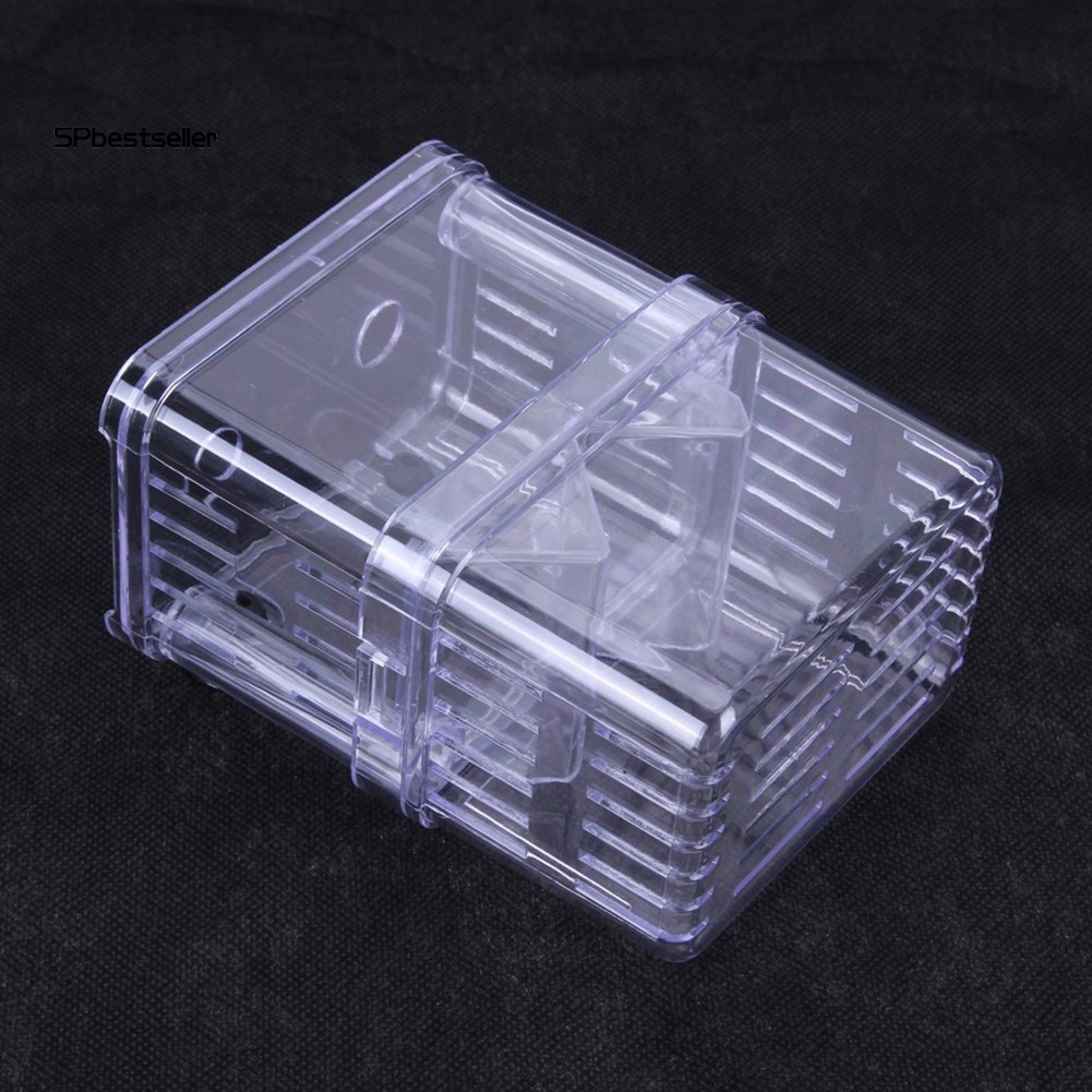 ✅Hộp Ấp Trứng Cá Hai Lớp Trong Suốt