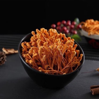 Đông trùng hạ thảo 1kg - hương thảo mộc