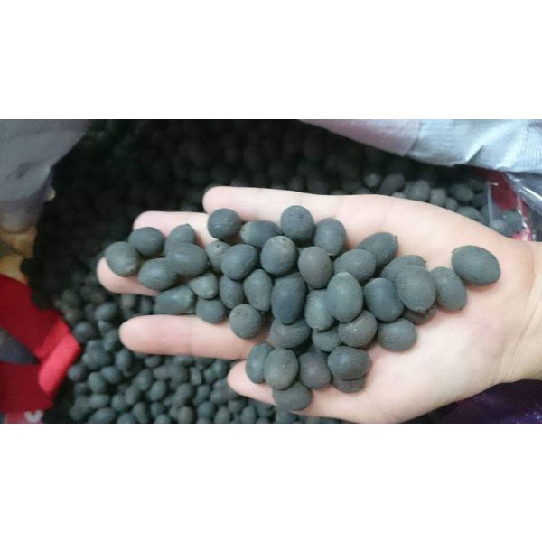 1 kg Hạt giống hoa sen