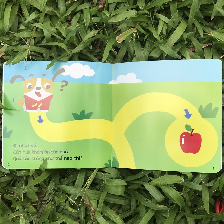 Sách - Mê Cung Phát Triển Kỹ Năng - Nhận Biết (2-6 tuổi) - Rèn Tư Duy Và Khả Năng Tập Trung