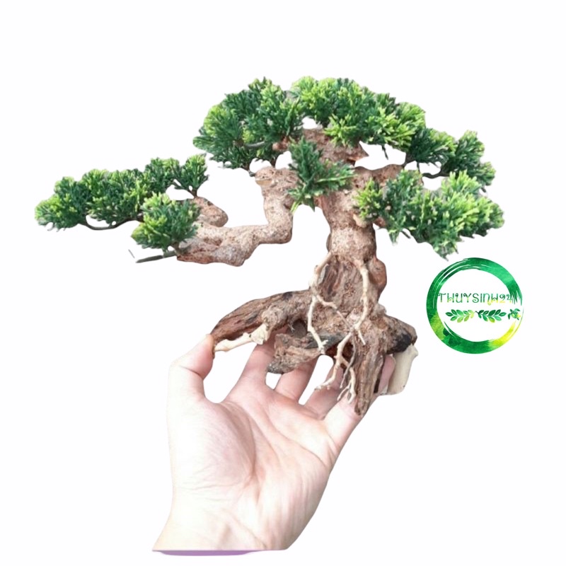 Lũa bonsai ghép cây giả, lũa bonsai thủy sinh, trang trí bể thủy sinh