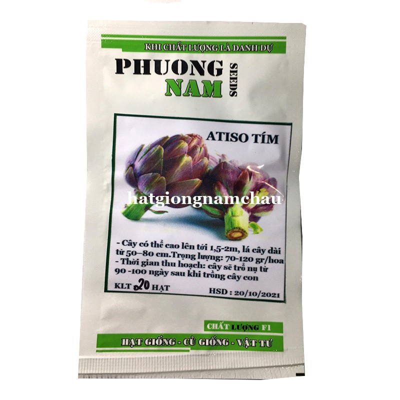 10H - HẠT GIỐNG ATISO TÍM