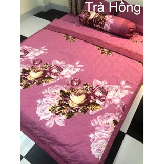 Bộ Ga chun cao cấp mẫu Trà Hồng