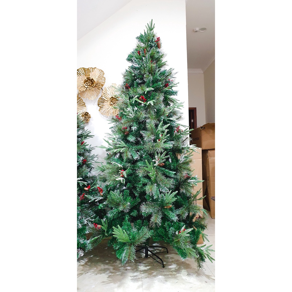 Cây thông noel 2,4m Pe 3 loại lá phủ tuyết gắn trái thông và quả đỏ,khớp tự động