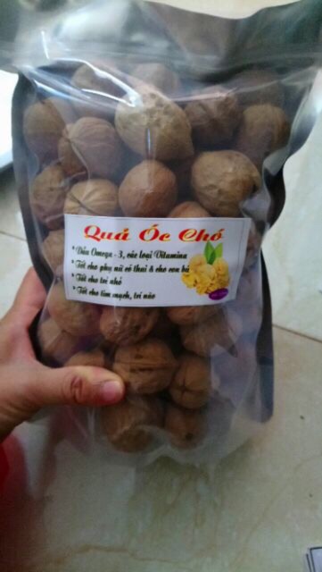 1KG ÓC CHÓ RỪNG SAPA HÀNG MỎNG VỎ DATE MỚI NHẤT