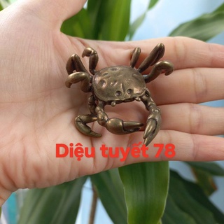 Cua đồng phong thủy kích thước 5cm