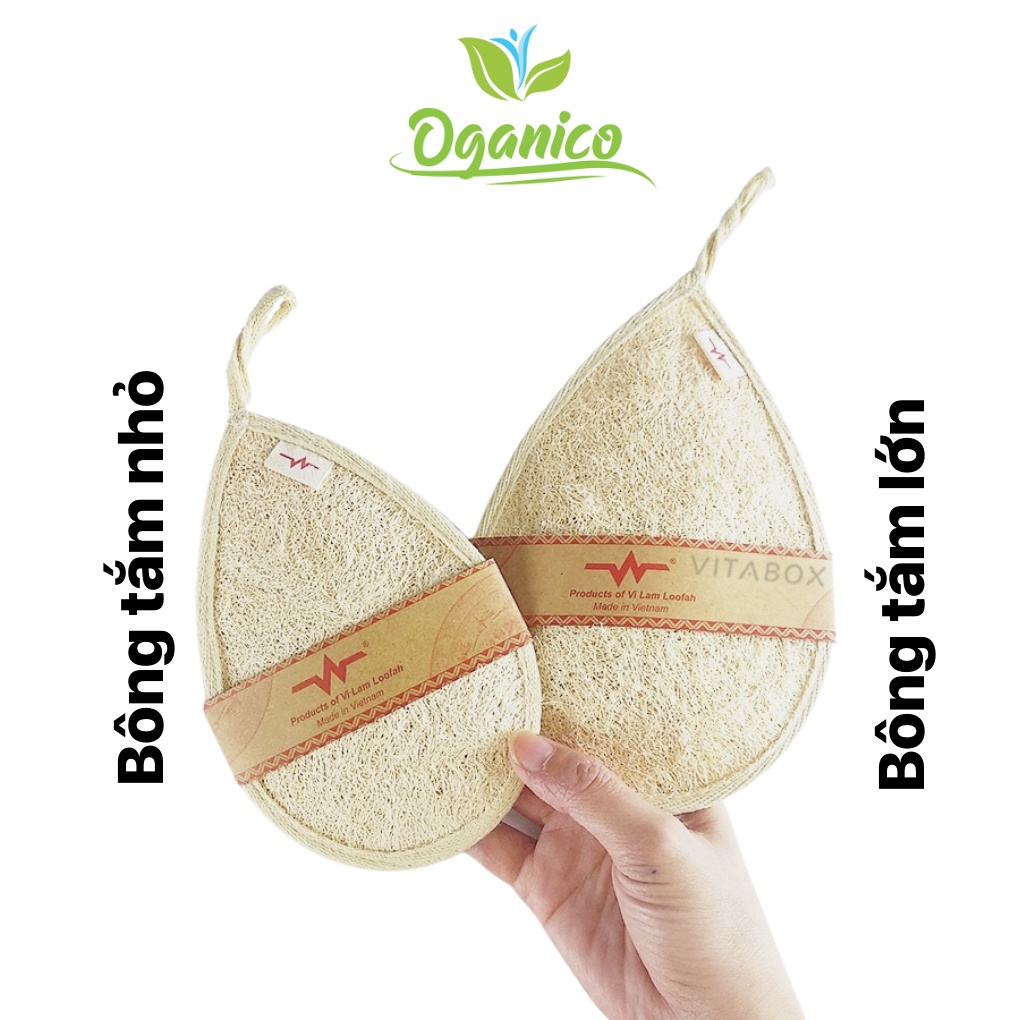 Bông tắm xơ mướp / LOOFAH / Cọ lưng kèm bông tắm xơ mướp tự nhiên giọt nước lớn, chà lưng, tẩy tế bào chết body