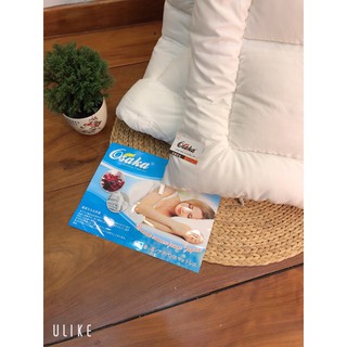 [RẺ VÔ ĐỊCH] Ruột Chăn 2mx2m2