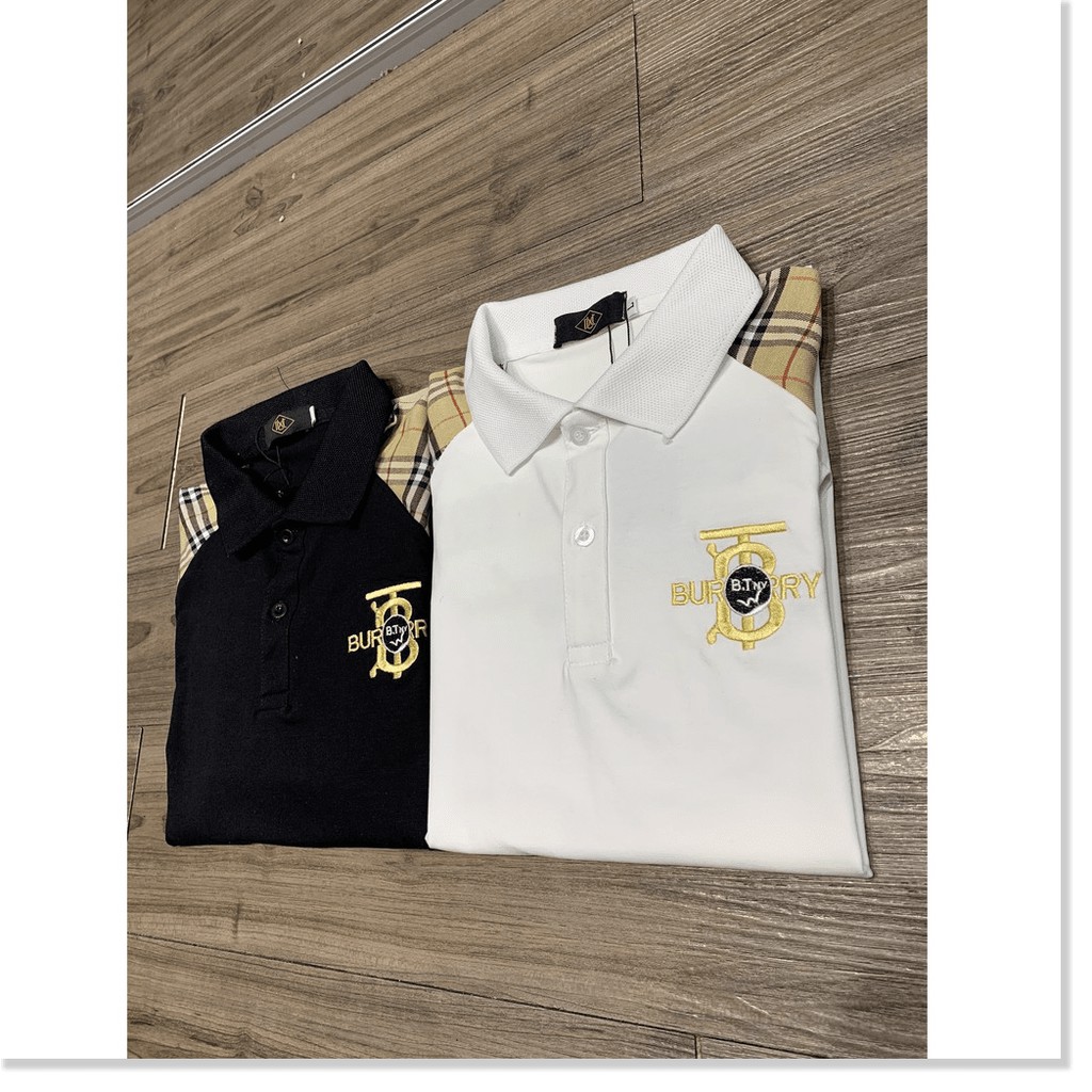 Áo Thun Nam Cổ Bẻ Ngắn Tay In Thêu Đẳng Cấp [Hàng Mới Về] HP