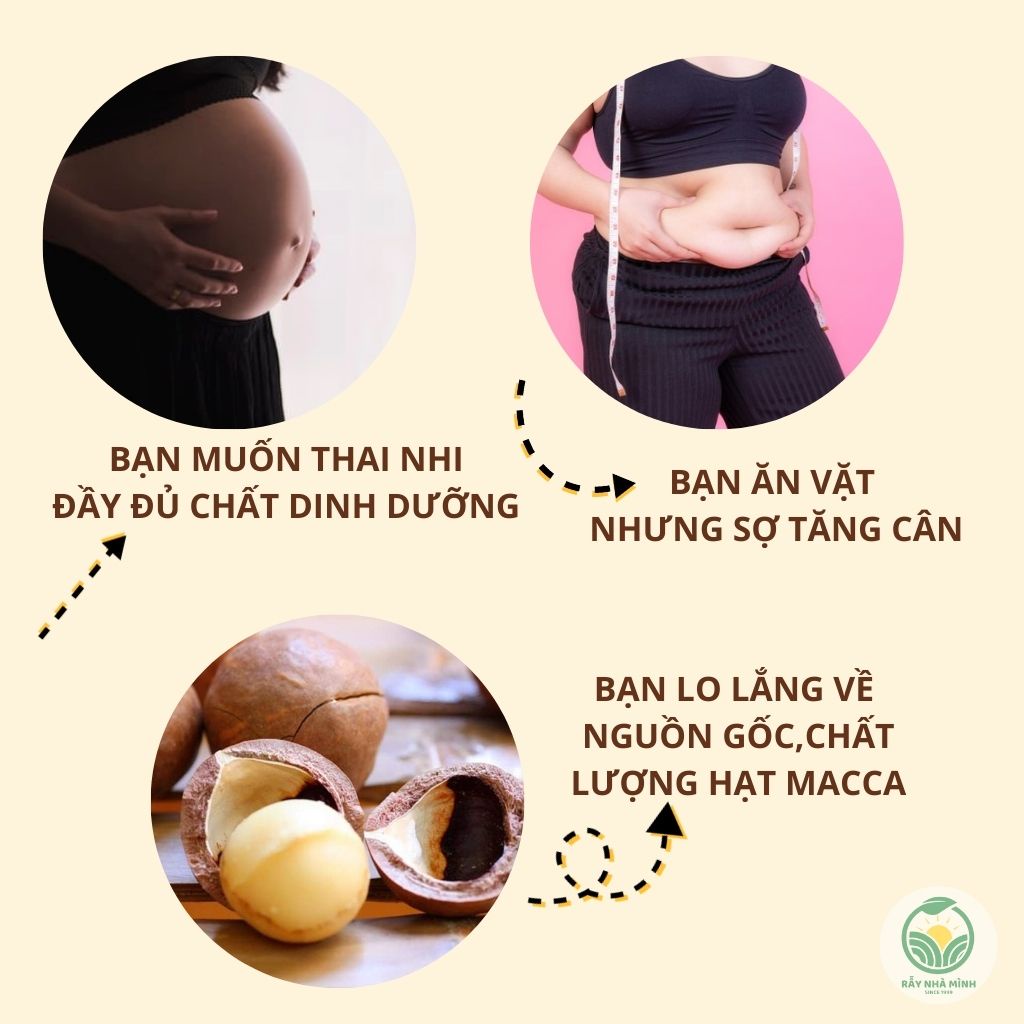 500g Hạt Macca Nứt Vỏ Tây Nguyên Tươi Sấy Lạnh Loại 1, Tặng Đồ Khui