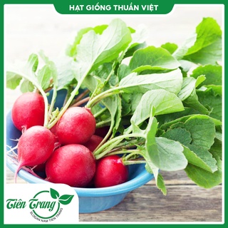 Hạt giống củ cải đỏ tn