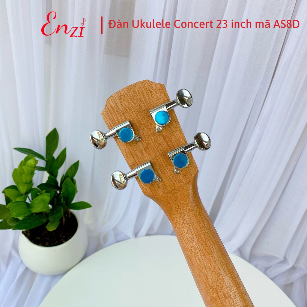 Đàn ukulele concert AS8D Enzi 23 inch gỗ mộc viền tròn khóa đúc giá rẻ cho bạn mới bắt đầu tập chơi