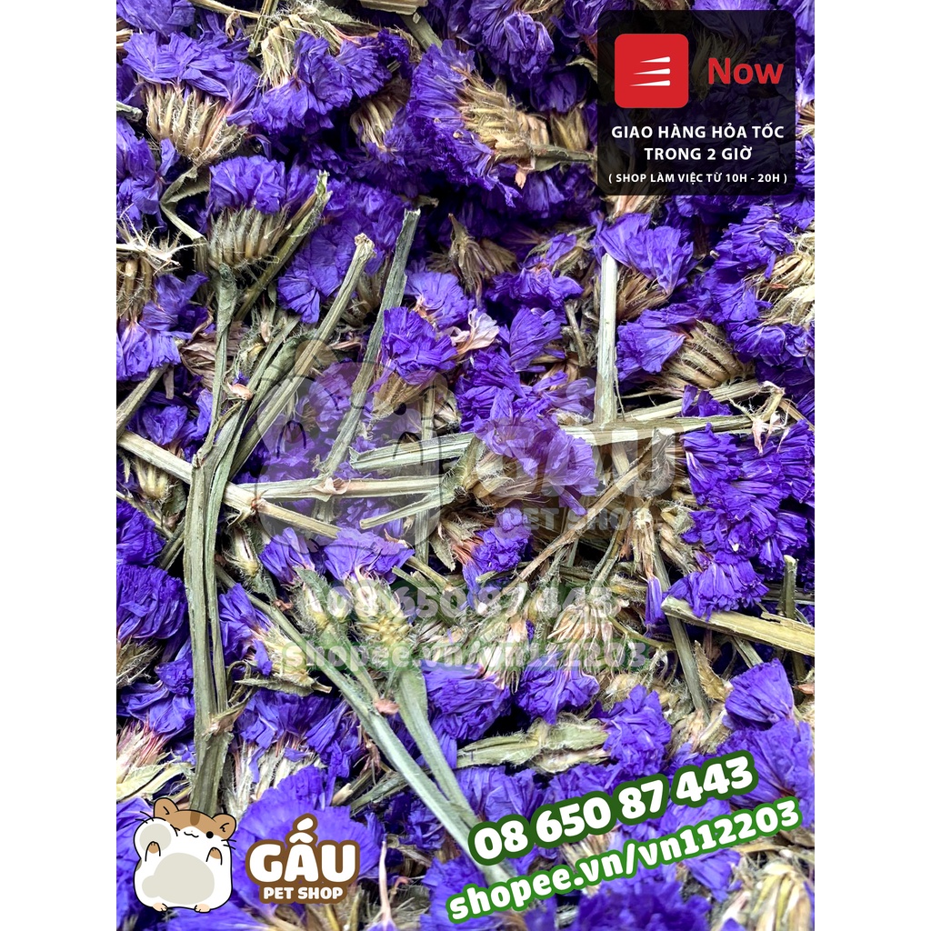 Hoa Lưu Ly dành cho Hamster