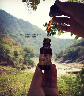 SERUM TINH CHẤT NGHỆ