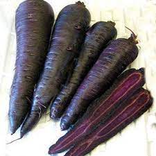 50 Hạt Giống Cà Rốt Đen Tím Black Giàu Anthocyanin