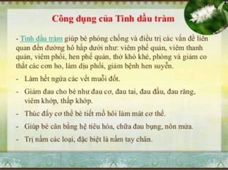 Dầu tràm Lava