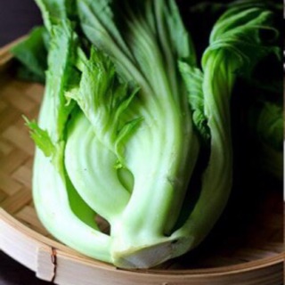 Hạt giống cải làm dưa ( cải toà sại )